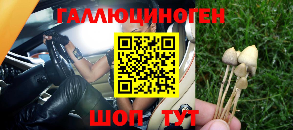 Нягань  Псилоцибиновые грибы Magic Shrooms  Вход с VPN 
